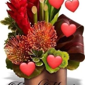 Meet your Posher, Sonali